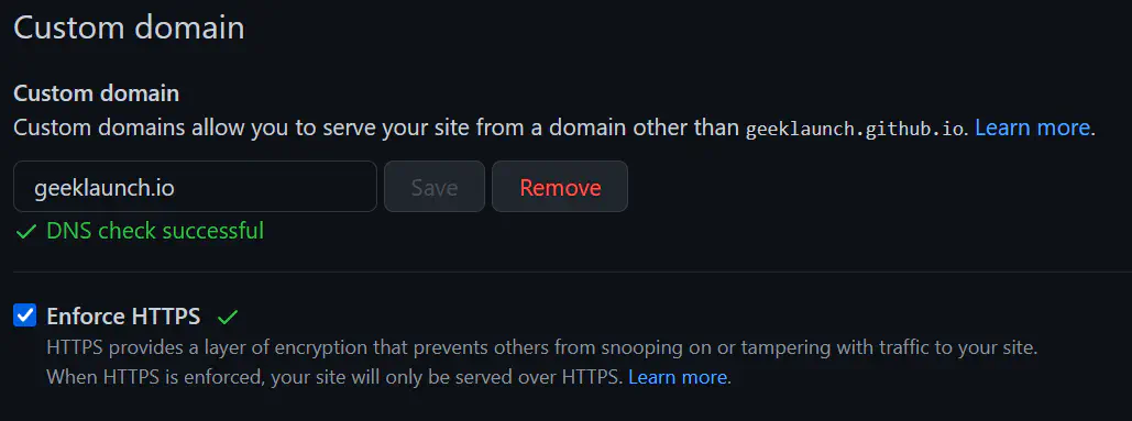 A screenshot of the &ldquo;Custom domain&rdquo; field in a GitHub repository&rsquo;s settings